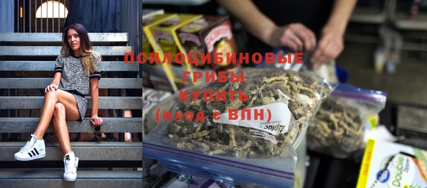 apvp Абаза